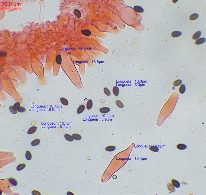 ch-019.jpg (359.06 Kio) Vu 329 fois mesures