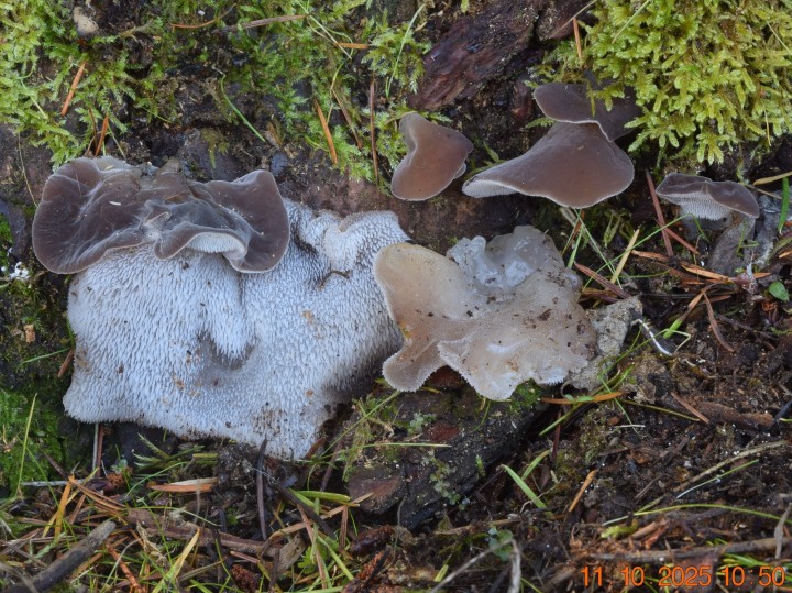 DSC_0468.JPG