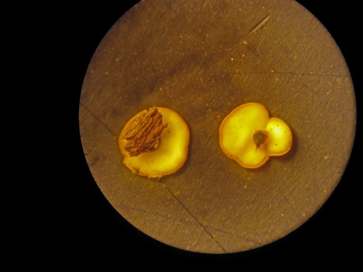 DSCN4378.JPG