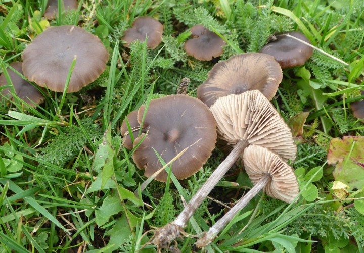 P1420144 (copier 1).JPG