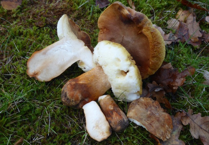 P1420068 (copier 1).JPG