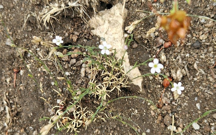 Cliquer sur l'image pour agrandir