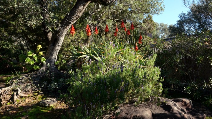 Cliquer sur l'image pour agrandir