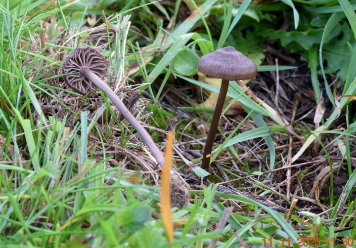 DSC_0591.JPG