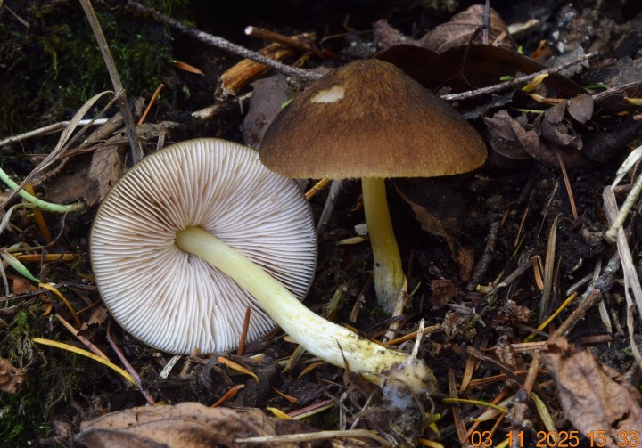 DSC_0576.JPG