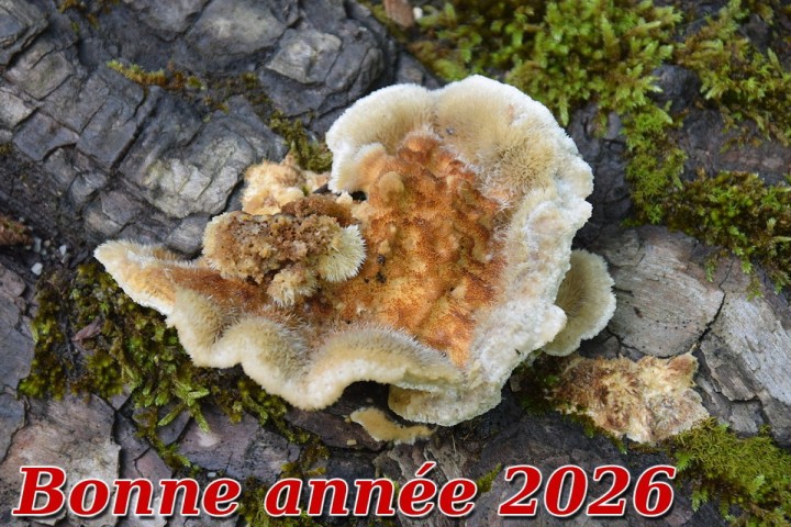 2026.jpg