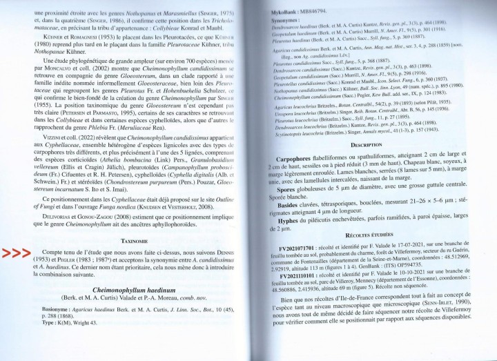 Cliquer sur l'image pour agrandir