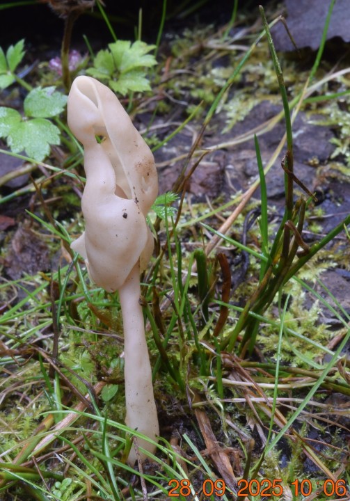 DSC_0425.JPG