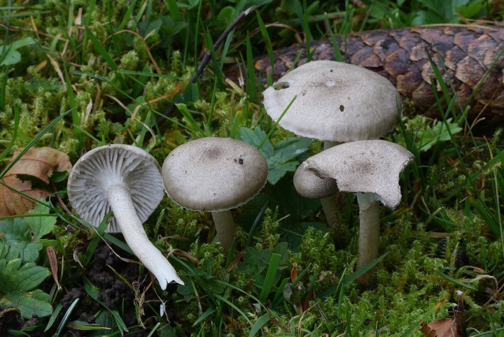 DSC_0364_145.JPG