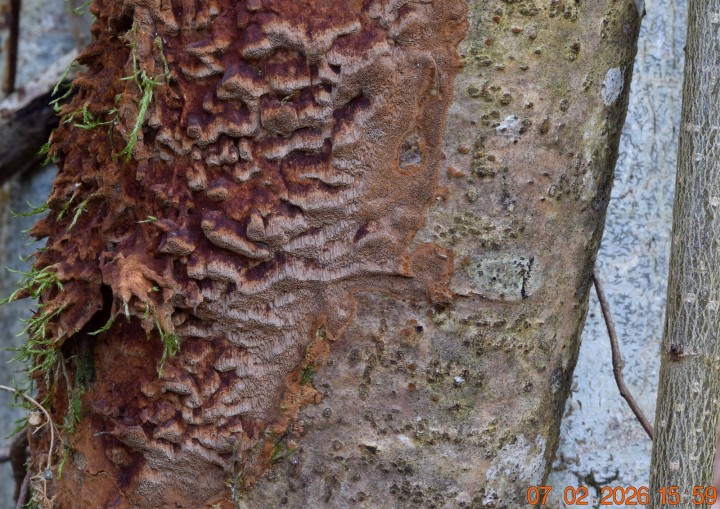 DSC_0614.JPG
