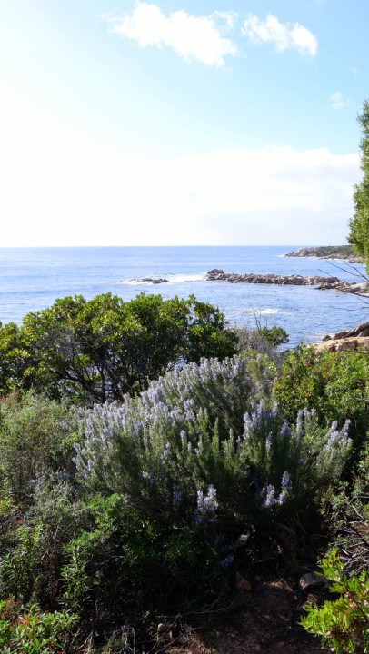 Cliquer sur l'image pour agrandir