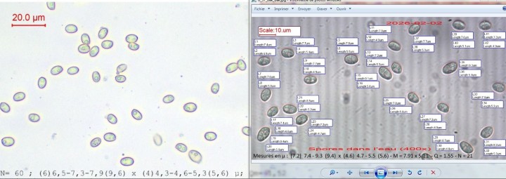 Capture5.JPG