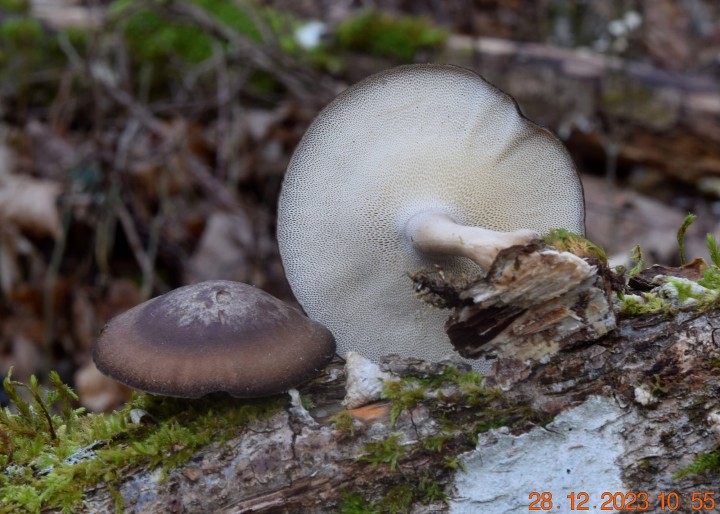 DSC_3844.JPG