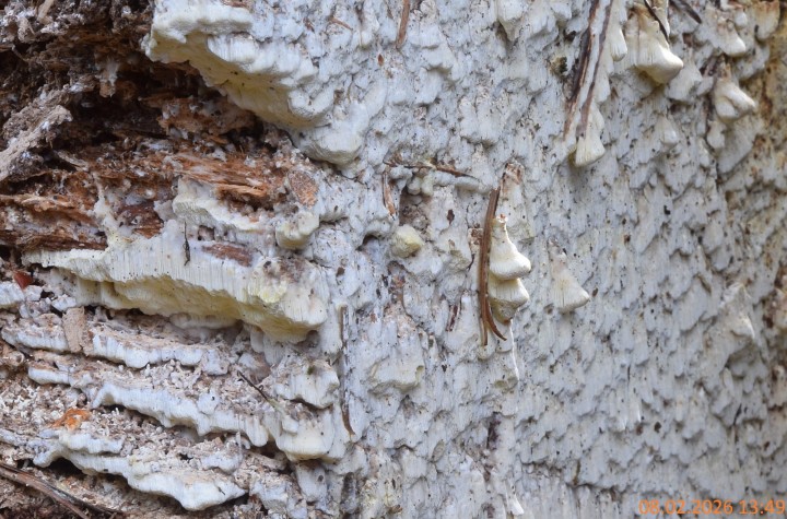 DSC_0621 - Copie.JPG