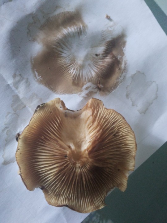 20260222_124650.jpg