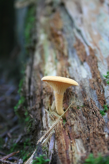 16.08.09 111.jpg