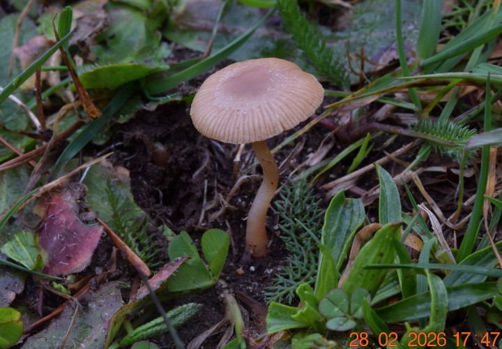 DSC_0658.JPG