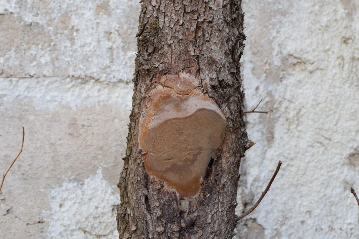 DSC_0290.JPG