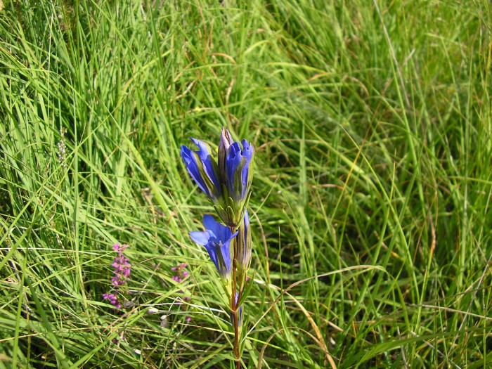 P8160003.JPG