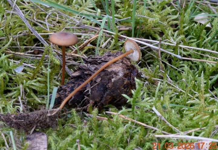 DSC_0664.JPG