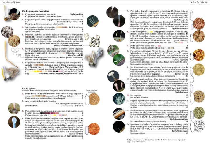 WhatsApp Image 2026-03-28 at 20.17.24 (3).jpeg