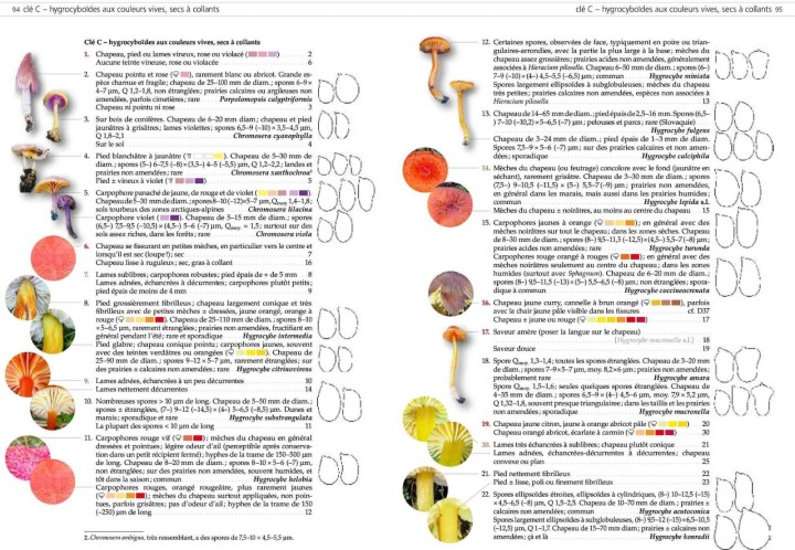 WhatsApp Image 2026-03-28 at 20.17.24 (1).jpeg