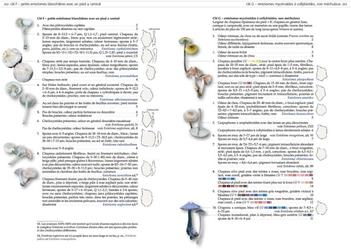 WhatsApp Image 2026-03-28 at 20.17.24.jpeg