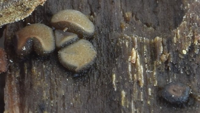 DSC_0673 - Copie.JPG