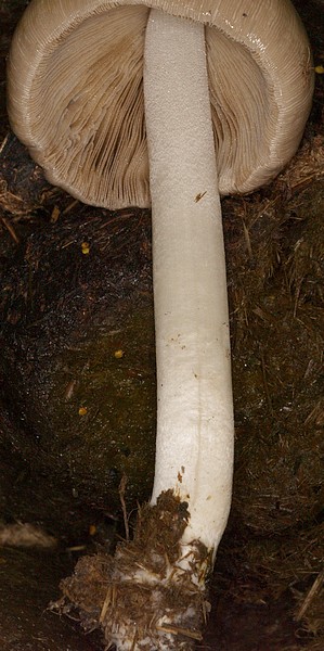 2009_08200006.JPG