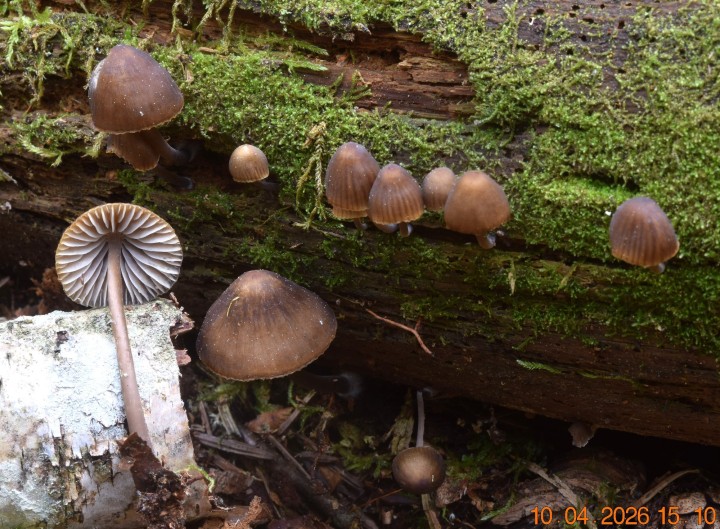 DSC_0687.JPG