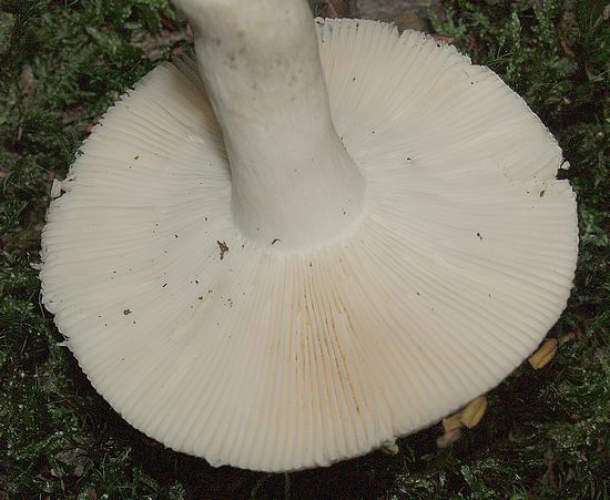 2009_08060004.JPG