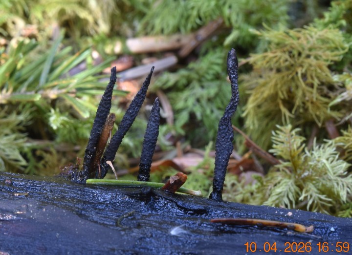 DSC_0692.JPG