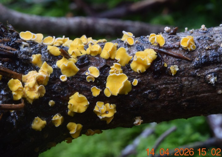 DSC_0694.JPG