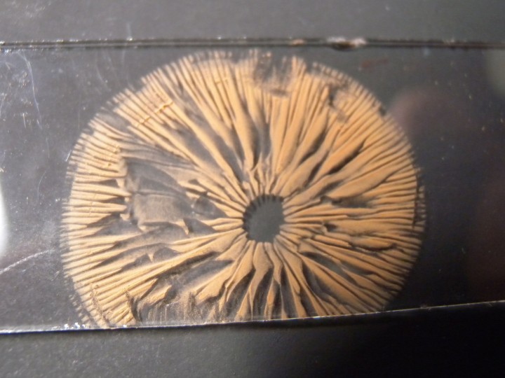 DSCN4758.JPG