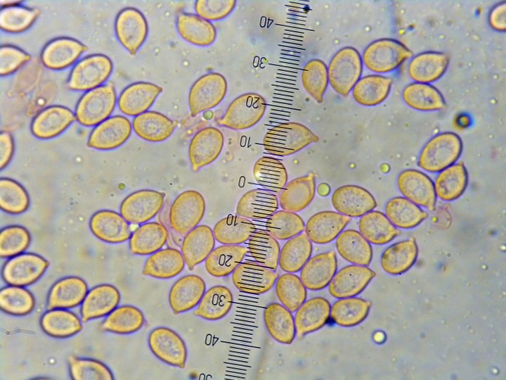 DSCN4750.JPG