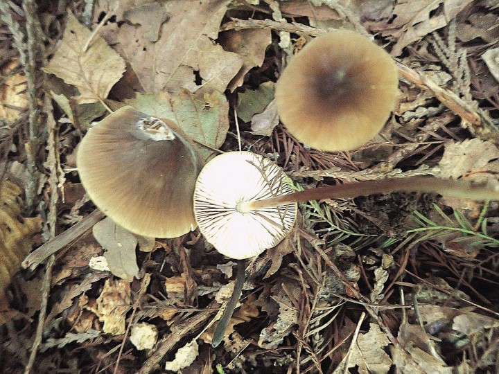 P9193991.JPG
