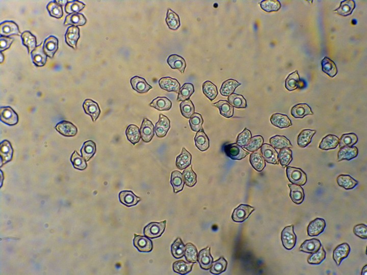 DSCN4760.JPG
