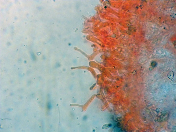 DSCN4705.JPG