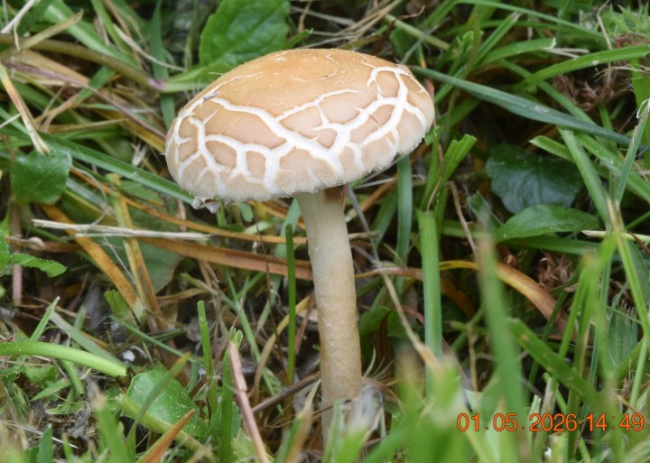 DSC_0760.JPG
