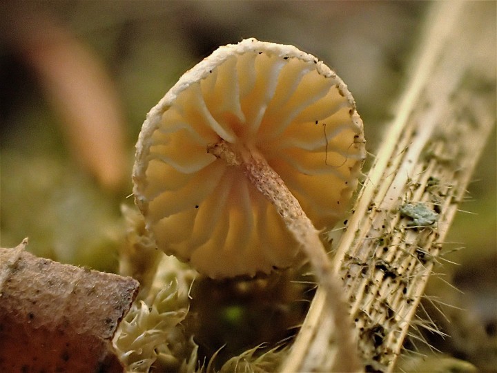 PB034120.JPG