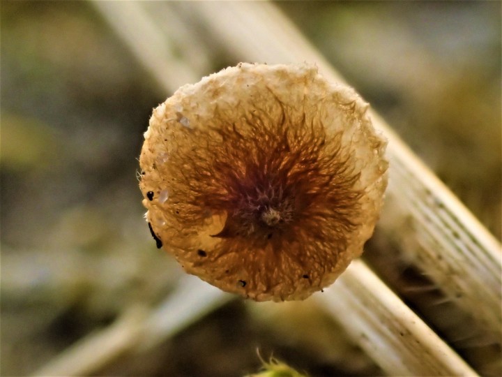 PB034106.JPG
