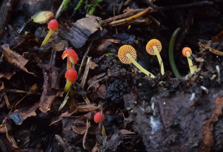 DSC_0779.JPG