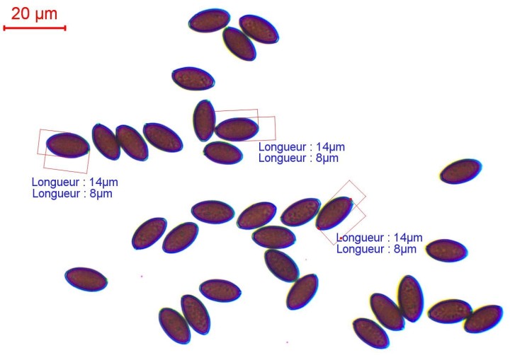 sp-005.jpg