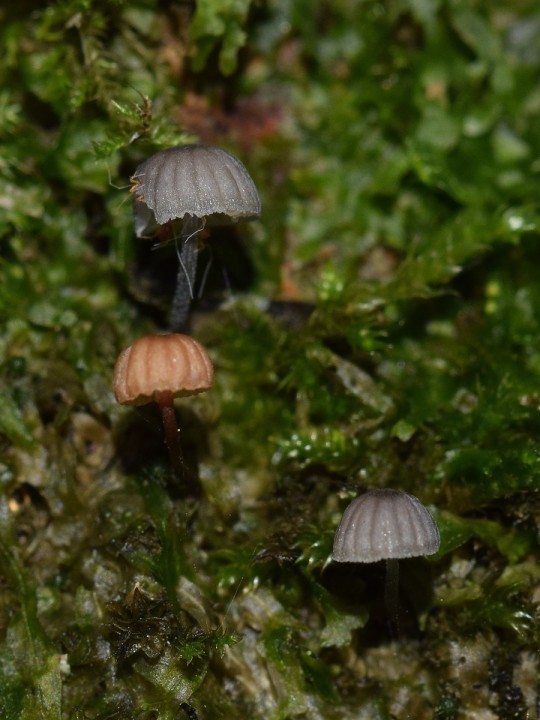 DSC_3618.jpg