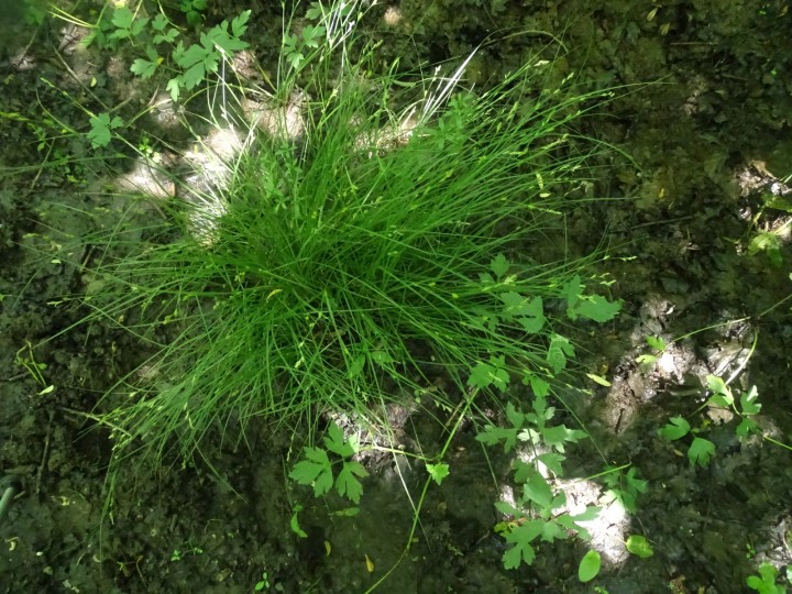 DSC07080.JPG