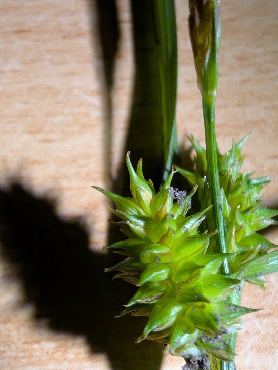 PXL_20260530_200948124.jpg