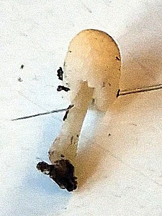 20260601_171157.jpg