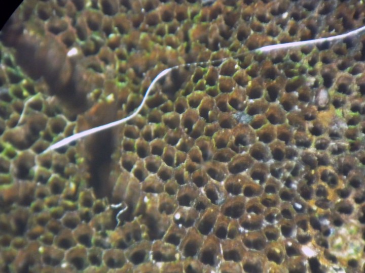 DSCN4983.JPG