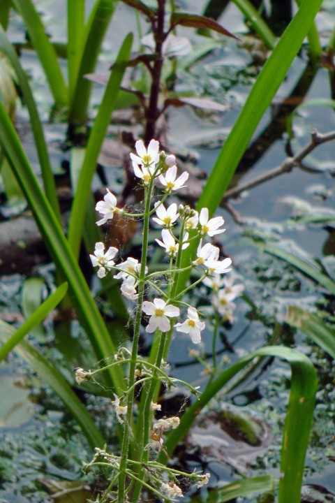 H2710029.JPG