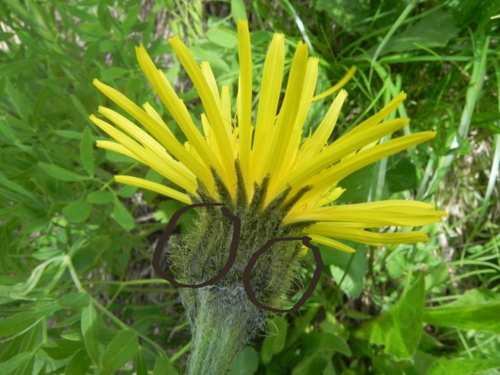 DSCN8724a.JPG